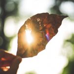 RISE, DO NOT 'FALL' IN LOVE