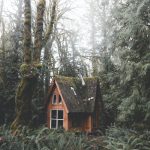 HOMES ARE HEALING ZONES